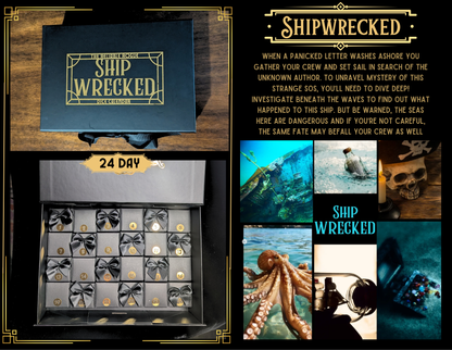 Dice Calendars: 24 day sets